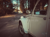 Renault - 2CV, spiegel links, origineel Citroën! Het spiegelglas is grijs omlijst. De originele spi