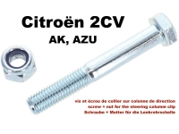 Stuurkolom, bout + moer voor de stuurbuisklem. (Bevestiging van de stuurkolom