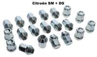 Wielmoeren voor velg aluminium Citroen DS + SM (20 stuks). 20 wielbouten