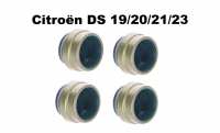 Citroen-DS-11CV-HY - Klepsteelafdichtingen voor de inlaat. Geschikt voor Citroen DS19, DS20, DS21, DS23, CX ben