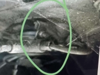 Sonstige-Citroen - Hydraulische leiding 4-weg verdeler, beugel voor de verdeler! Geschikt voor Citroën DS.