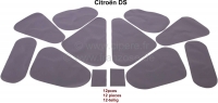 Citroen-DS-11CV-HY - Deurfolieset 12 stuks, voor alle 4 de deuren. Geschikt voor Citroën DS. De folies zijn op