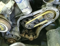 Peugeot - Kugelfischer aandrijfriem (distributieriem) 