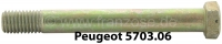 peugeot dynamo onderdelen p 203 403 schroef 12x99mm voor montage van dc geschikt P72988 - Bild 1