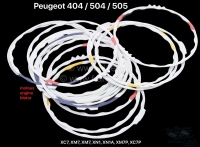 peugeot krukas nokkenas zuiger p 404 504 505 onderste voeringafdichting geschikt voor P71414 - Bild 1