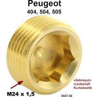 peugeot krukas nokkenas zuiger schroefplug afmetingen m24 x 1 5 geschikt voor P71061 - Bild 1