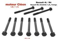 Cilinderkopschroevenset (10 stuks). Schroefdraad: M10 x 100. Geschikt voor