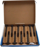Renault - Cilinderkopschroevenset (10 stuks). Schroefdraad: M10 x 100. Geschikt voor Renault R4 (1.0