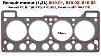 renault cilinderkoppakkingen cilinderkoppakking voor motor 13l 810 01 02 P80123 20260325155302 - Bild 1