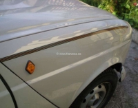 Renault - R4, stickerset Savane, geschikt voor Renault R4 TL van 1986 tot 1992 + speciaal model Sava