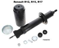 Renault - R12/R15/R17, voorste schokdemper (veerpoot) (per stuk). Geschikt voor Renault R12, R15, R1