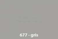 Renault - Spuitverf 400ml, Renault R4 kleurcode 677 grijs - bumpers speciaal gemengd